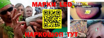 стаф Лесосибирск