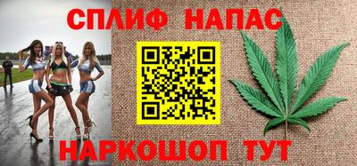 стаф Лесосибирск