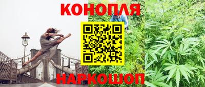 стаф Лесосибирск