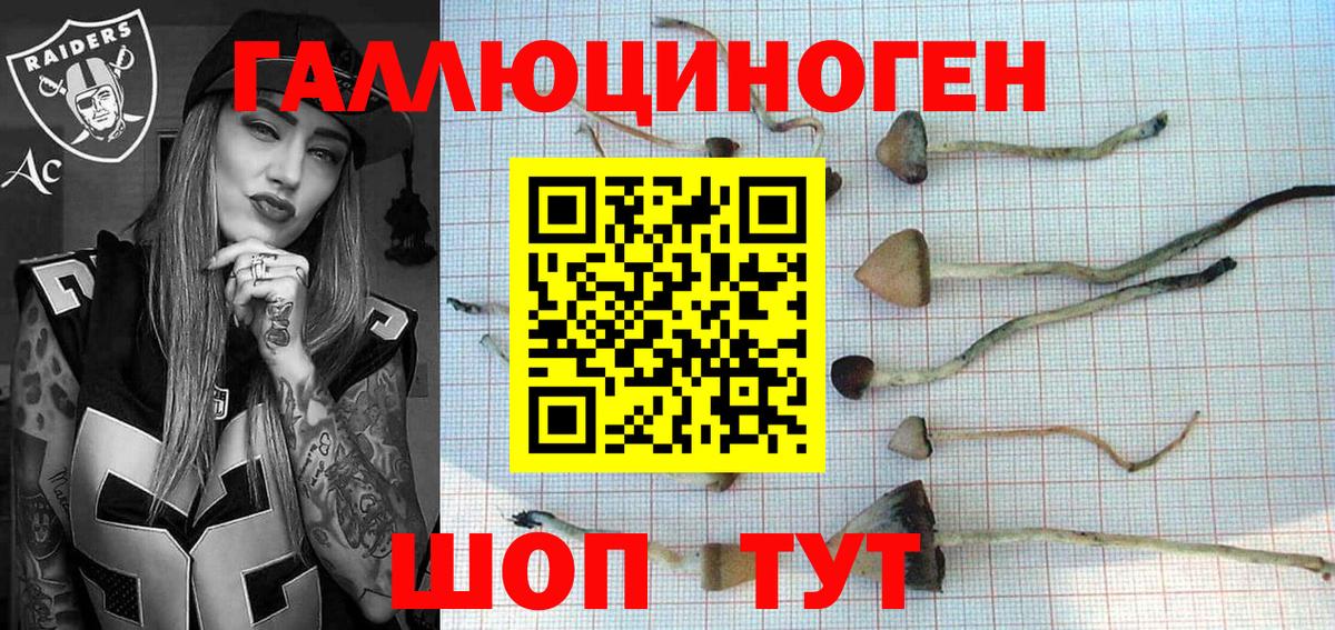 Псилоцибиновые грибы Psilocybe  Псилоцибиновые грибы Psilocybine cubensis  Вход с VPN  Чистополь 